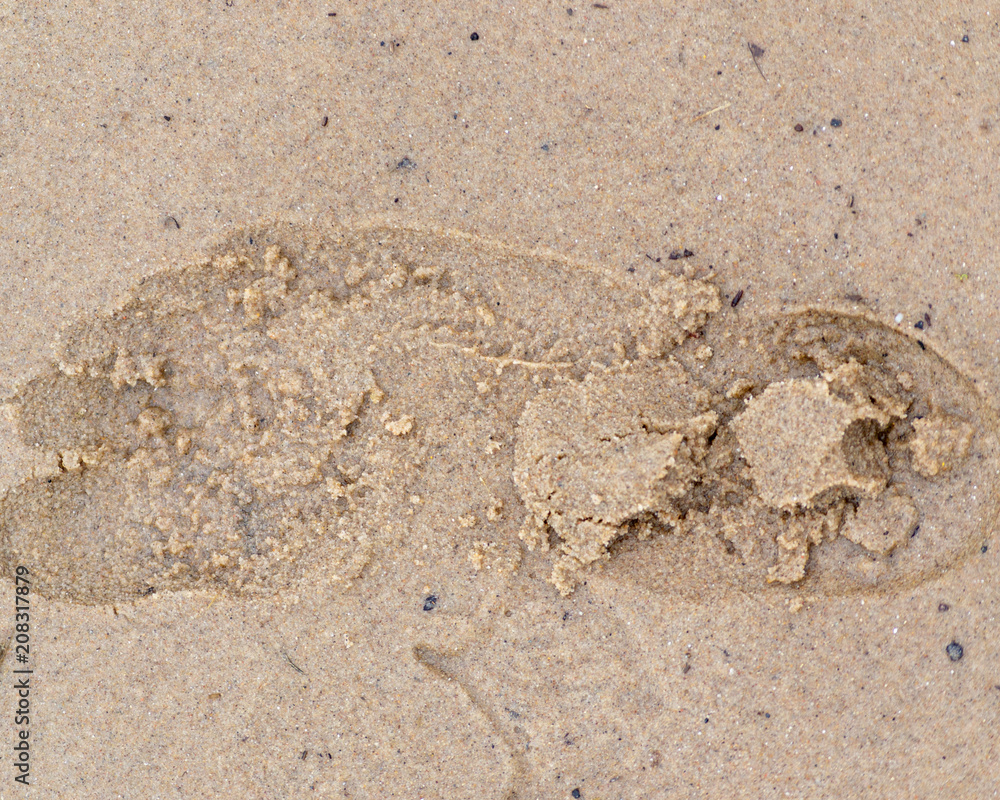 Imprint Imprint