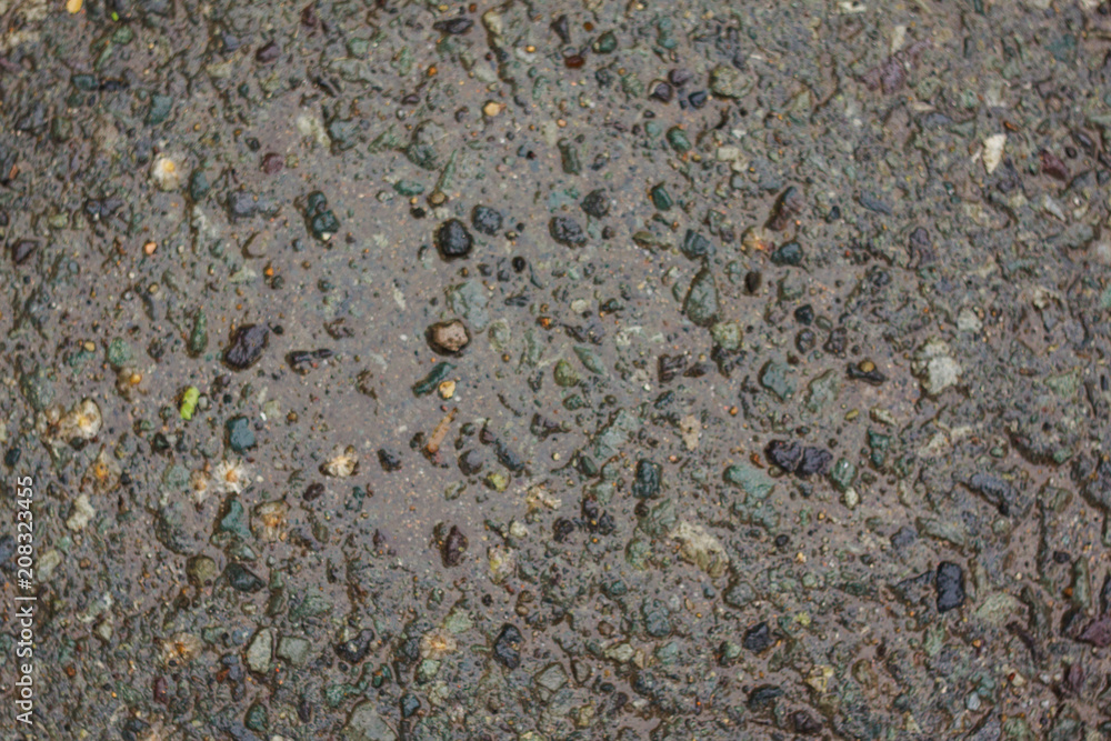 wet path. texture - wet asphalt wet path. texture - wet asphalt
