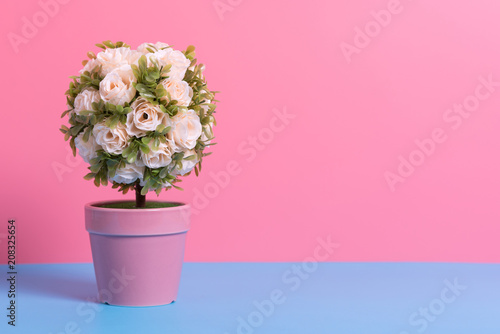 artificial flower pot on blue and pink paper , minimal style background
