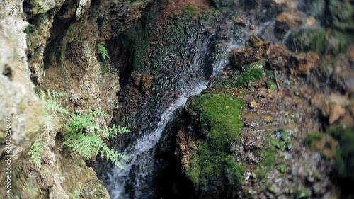 Waterfall green forest river stream landscape photo