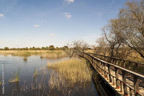 Daimiel tables in Ciudad Real. Lagoons with wooden walkway, blue sky. Natural Park of Castilla la Mancha. Spain, Europe 