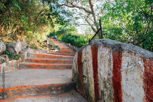Chamundi hill steps and forest in Mysore, India photo