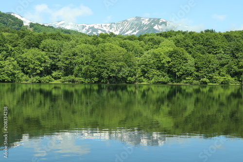 新潟県 糸魚川市 白池からの白馬連山
