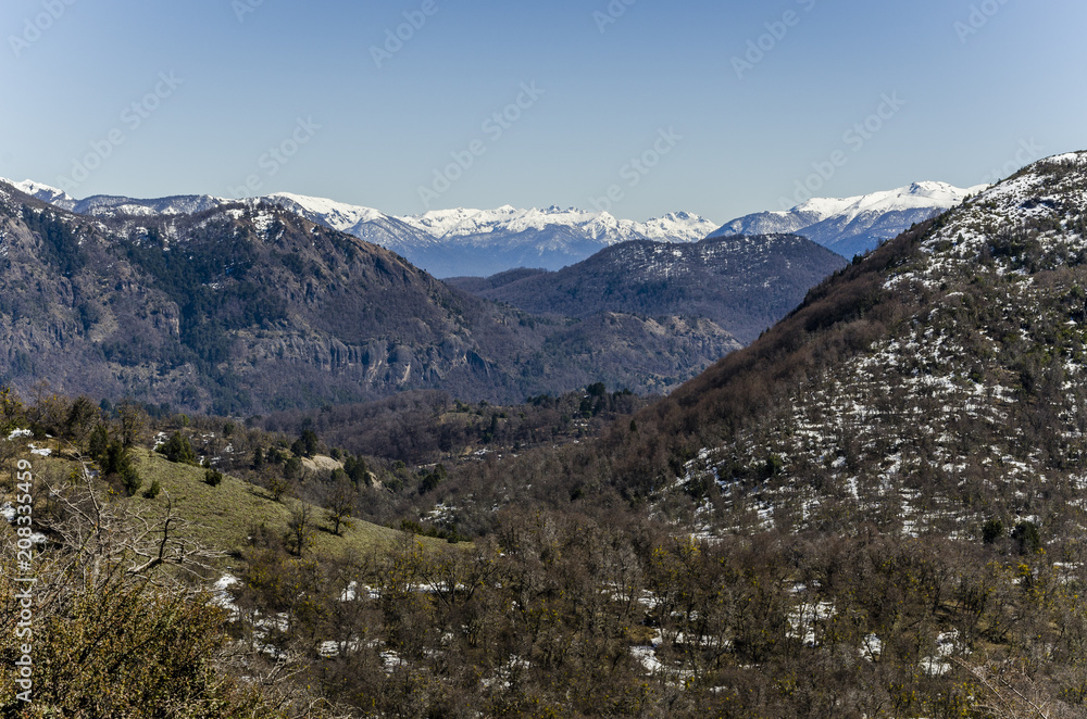 Winter mountain view 