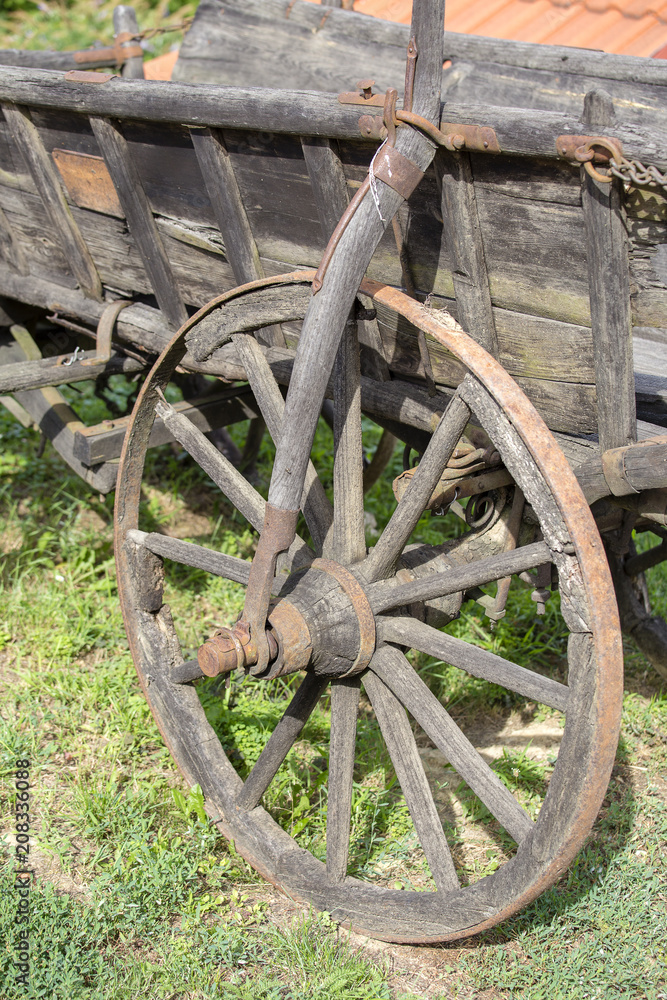 Old wheel wooden cart in the garden. Hungary