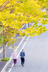 Sierkussen Joggen Ouder stel joggend onder herfstbomen  © EvergreenPlanet