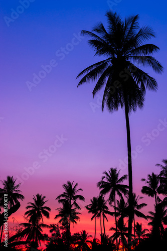 beautiful Silhouette of coconut tree with twilight sky 