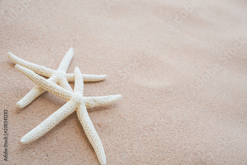 couple of beautiful starfish on Sandy beach background background for summer holiday and vacation concept.