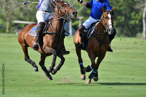 Fighting with horse polo players in polo match.