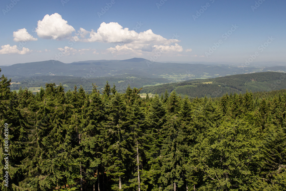 Obraz premium Šumava