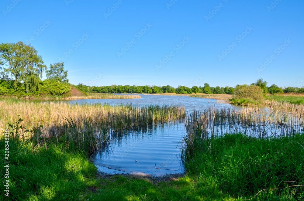 Beautiful rural landscape. Spring day over a beautiful pond. Beautiful rural landscape. Spring day over a beautiful pond.