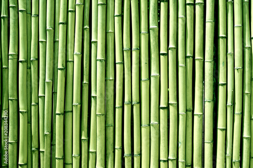 Fototapeta Naklejka Na Ścianę i Meble -  Green bamboo wood wall background texture