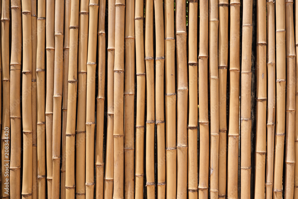 Naklejka premium Bamboo wood fence natural background texture