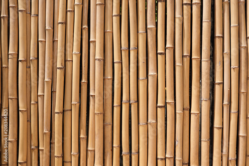 Fototapeta Naklejka Na Ścianę i Meble -  Bamboo wood fence natural background texture