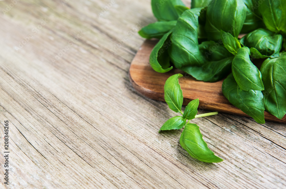 Fresh green basil Fresh green basil