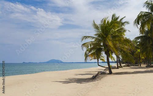 White sand and coconut tree on the beach.