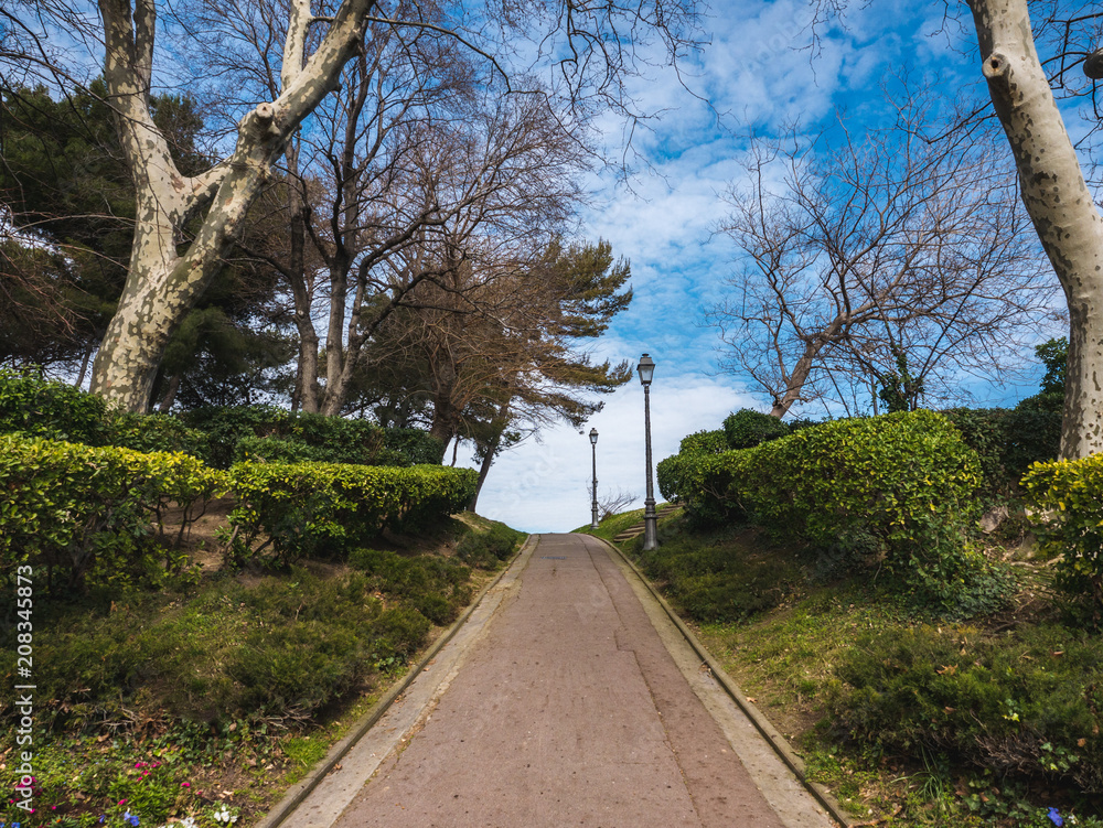 Obraz premium Alejka w parku