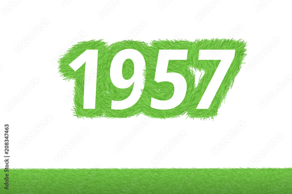 Jahr 1957 - weiße Zahl 1957 mit frischen gewachsenen grünen Grashalmen Symbol Jahr 1957 - weiße Zahl 1957 mit frischen gewachsenen grünen Grashalmen Symbol