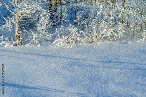Schneekristalle glitzern vor befrohrenen Sträuchern