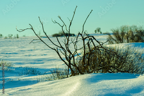 Winterlandschaft mit Pulverschnee