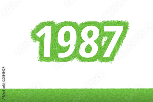 Jahr 1987 - weiße Zahl 1987 mit frischen gewachsenen grünen Grashalmen Symbol
