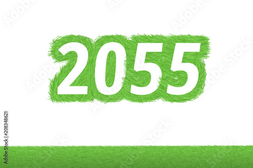 Photos Jahr 2055 - weiße Zahl 2055 mit frischen gewachsenen grünen Grashalmen Symbol