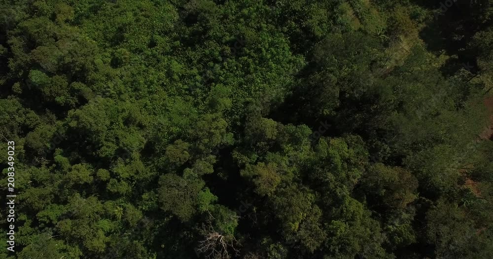 AERIAL: Dense Jungles in Costa Rica AERIAL: Dense Jungles in Costa Rica