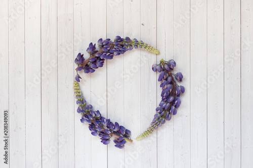 Beautiful lupine flowers in the form of a circle on a light background copy the space. photo