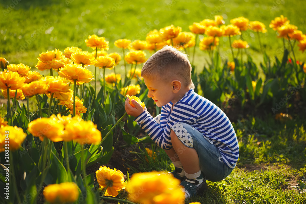 little boy with flowers little boy with flowers