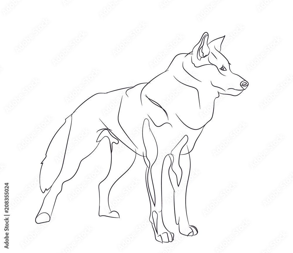 dog stands, lines, vector