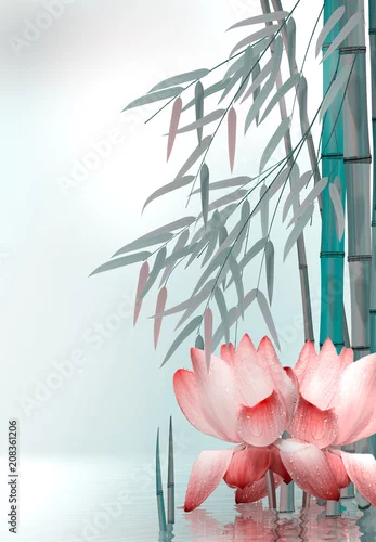 Obraz Lilie wodne, róże stawowe z bambusem w wodzie