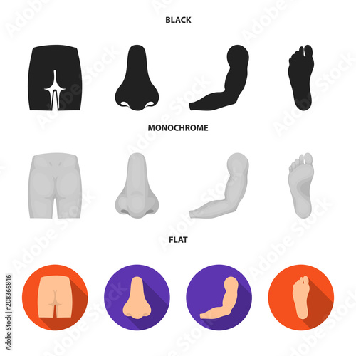 Buttocks, nose, arm, foot. Part of the body set collection icons in black, flat, monochrome style vector symbol stock illustration web.