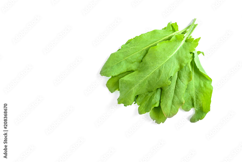 Sorrel isolated on white background. Sorrel isolated on white background.