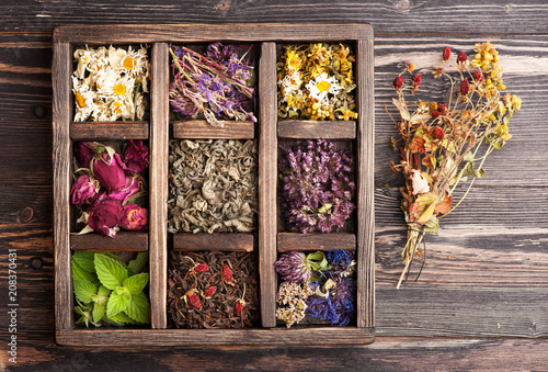 Medicinal herbs, berries and flowers in a wooden box. Herbal medicine, health, healing