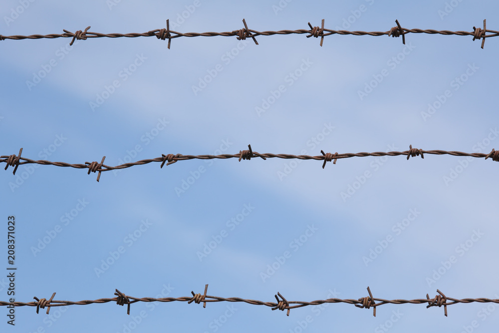 Close-up barbed wire and blue sky background Close-up barbed wire and blue sky background