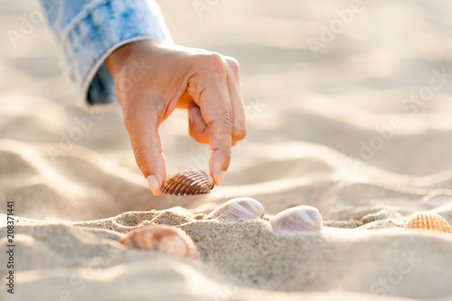 Fényképezés closeup of woman hand picking up seashells on white sand beach at sunset