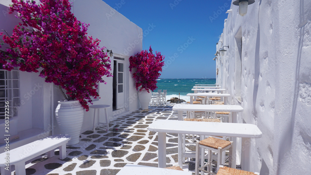 Fototapeta premium Zdjęcie pięknego kwiatu bugenwilli o niesamowitych kolorach na malowniczej greckiej wyspie z ciemnoniebieskimi falami
