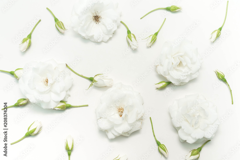 White Rose White Rose