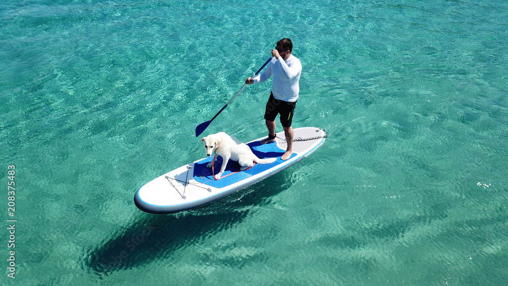 Fototapeta premium Aerial photo of man sup paddling with his cute dog in caribbean tropical beach with turquoise waters