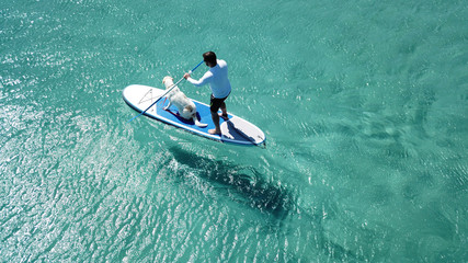 Aerial photo of man sup paddling with his cute dog in caribbean tropical beach with turquoise waters
