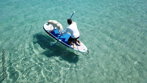 Aerial photo of man sup paddling with his cute dog in caribbean tropical beach with turquoise waters © aerial-drone