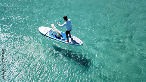 Photography Aerial photo of man sup paddling with his cute dog in caribbean tropical beach w
