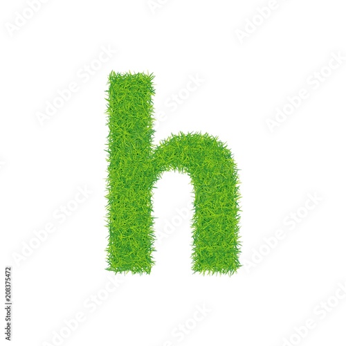 Green grass letter h on white background.