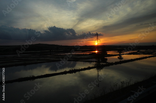 Magical sunset over the rice field