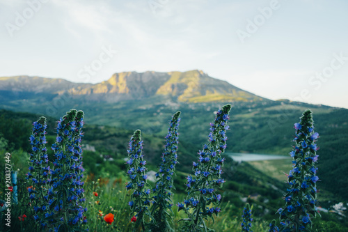 Fotografie Republic of Crimea