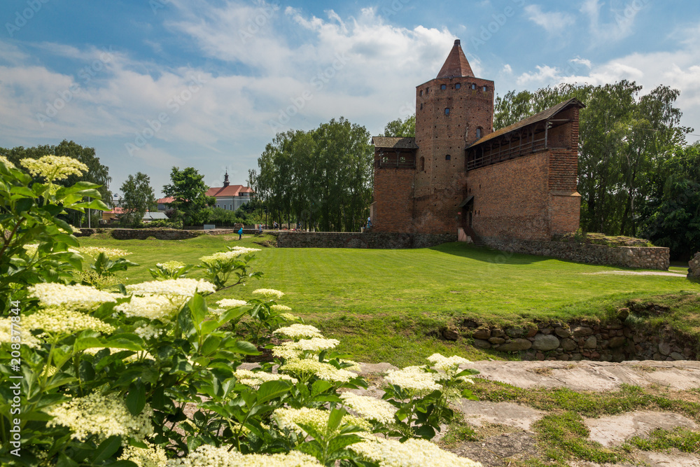 Ruins of the Gothic castle of Mazovian Dukes in Rawa Mazowiecka, Lodzkie, Poland Ruins of the Gothic castle of Mazovian Dukes in Rawa Mazowiecka, Lodzkie, Poland