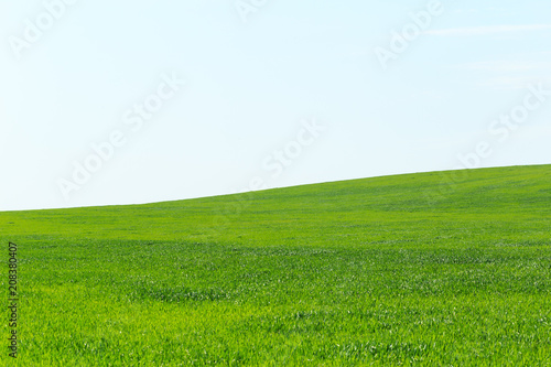 beautiful Green field