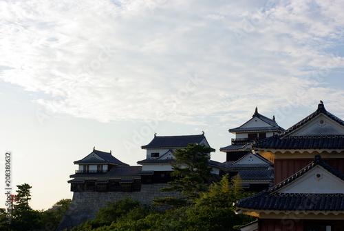                  Iyo Matsuyama Castle   