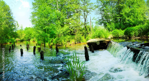 Panoramic view of the river with a forest waterfall