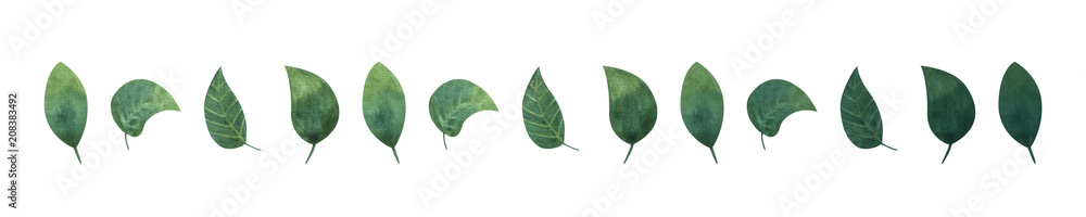 Green leaaves on white isolated Background. Concept. Collage Green leaaves on white isolated Background. Concept. Collage
